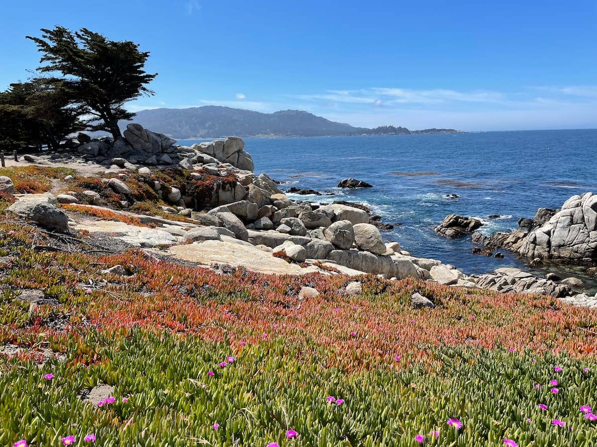 PEBBLE BEACH’S 17-MILE DRIVE IN CALIFORNIA IS A PHOTOGRAPHER’S DREAM